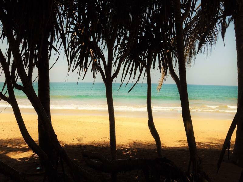 Serendib Beach Hotel Bentota Eksteriør billede